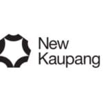 New Kaupang